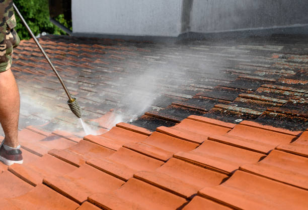 Best Concrete Pressure Washing  in Carver, MN