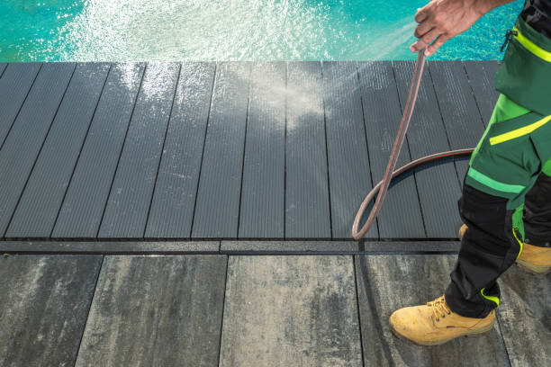 Best Roof Pressure Washing  in Carver, MN