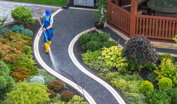 Best Affordable Pressure Washing  in Carver, MN